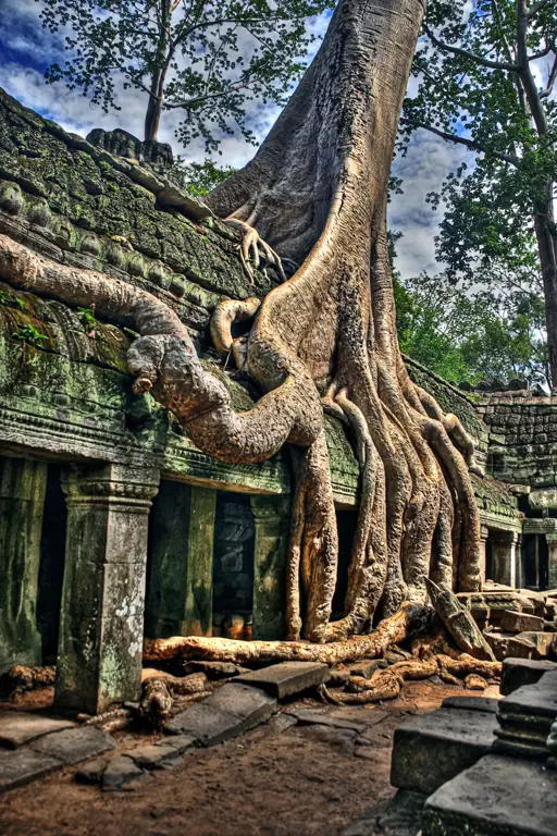 Candi Angkor Wat yang megah di Kamboja