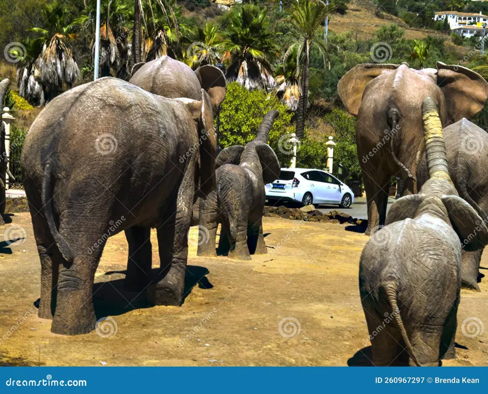 Patung gajah yang megah di Bundaran Gajah Bandar Lampung