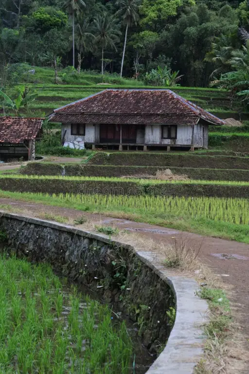 Rumah adat Indonesia yang megah dan terawat