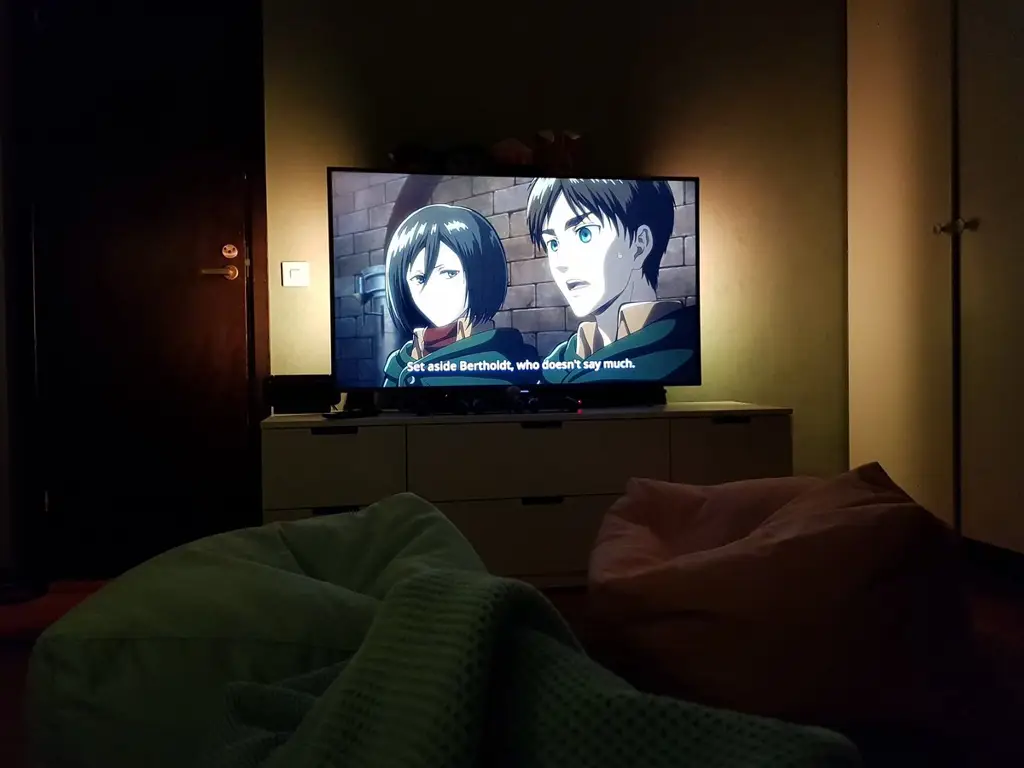 Menonton anime di rumah dengan nyaman