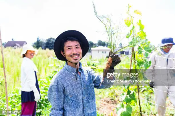 Petani Jepang bekerja sama di sawah