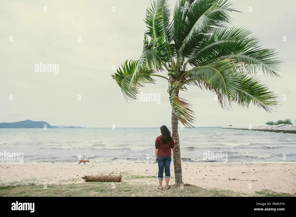 Gambar seseorang yang kesepian memandang laut