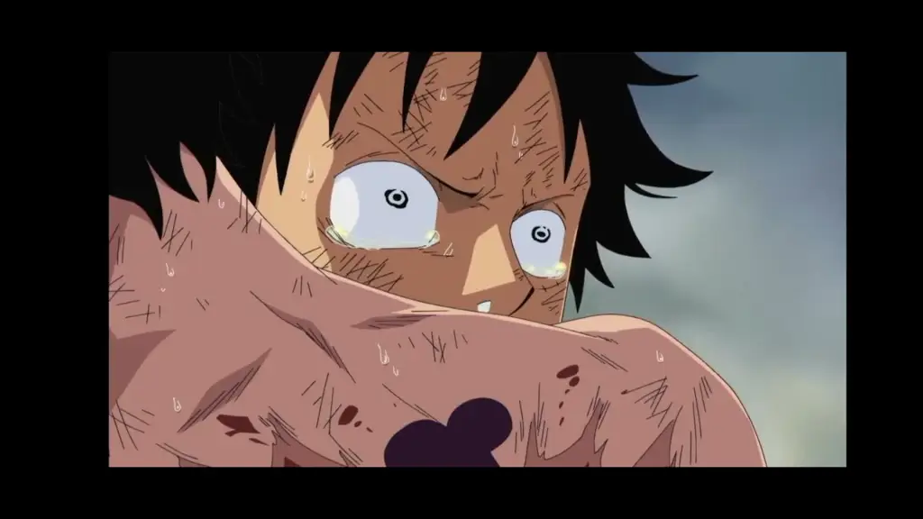 Luffy menangis setelah kematian Ace