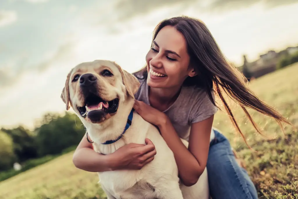 Hewan peliharaan yang bahagia dan sehat di Appleby Animal Hospital