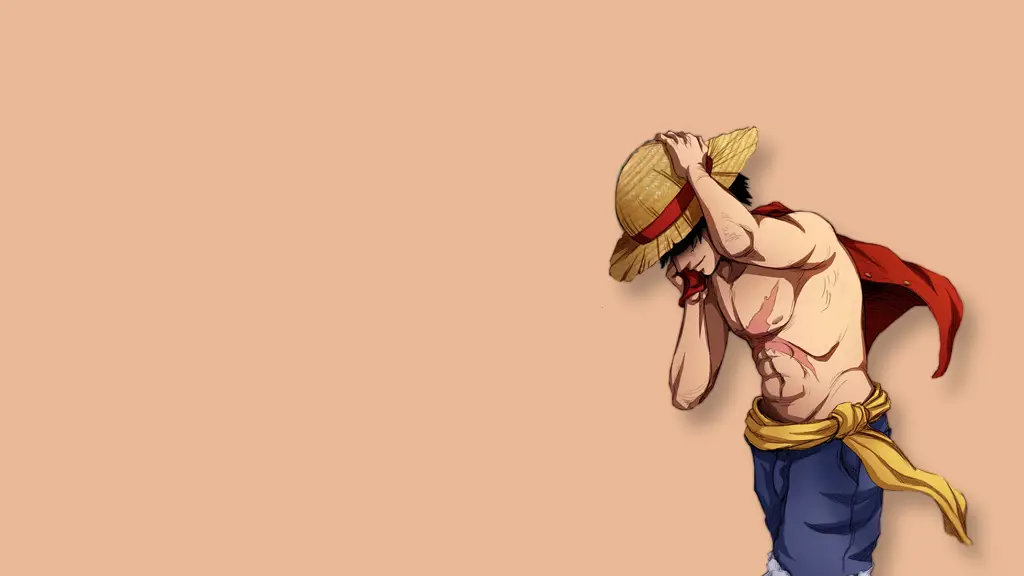 Gambar beberapa karakter anime boy One Piece yang tampan