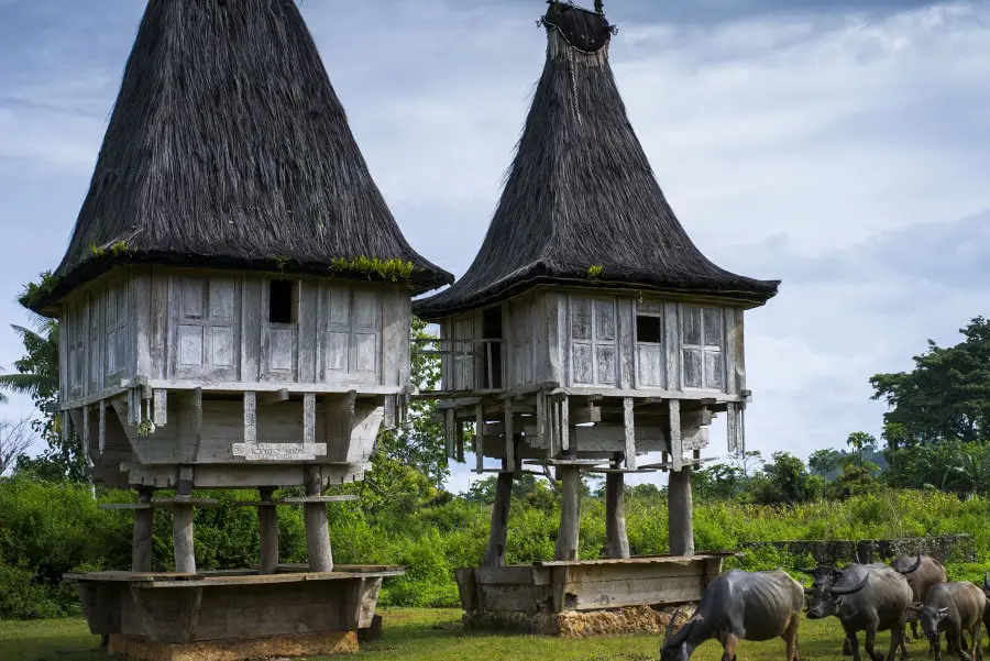 Budaya Timor Leste yang kaya