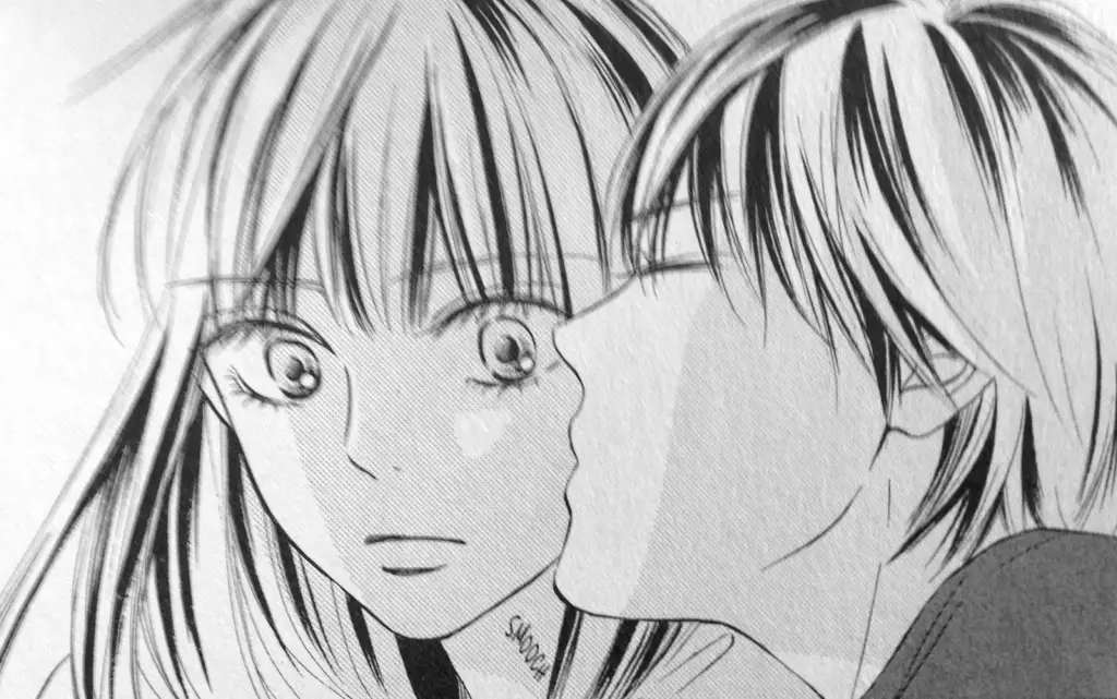 Panel manga Kimi ni Todoke