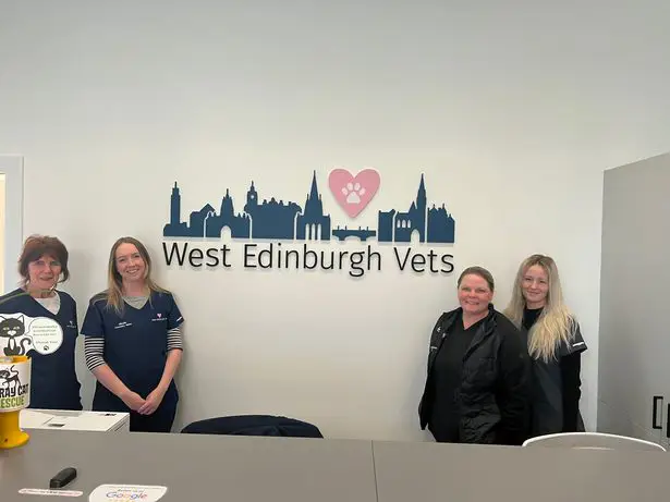 Suasana klinik hewan di Edinburgh yang modern dan bersih