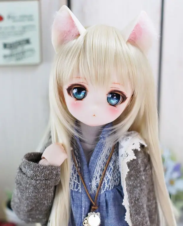 Berbagai jenis boneka Anime Dollfie dengan pose dan ekspresi yang berbeda