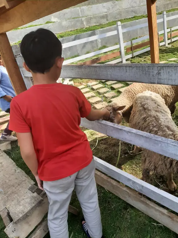 Berbagai macam hewan di Kebun Binatang Bandar Lampung