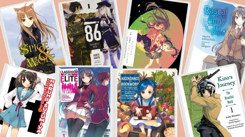 Gambar berbagai buku light novel