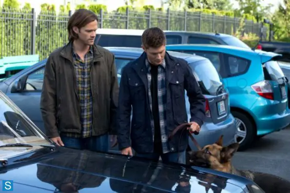 Dean Winchester bersama hewan-hewan