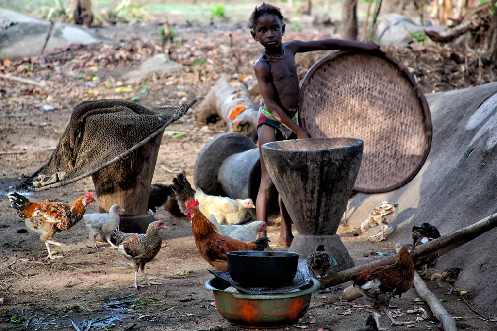 Fotografi konflik di Sierra Leone