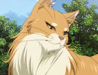 Gambar kucing anime dengan kekuatan super