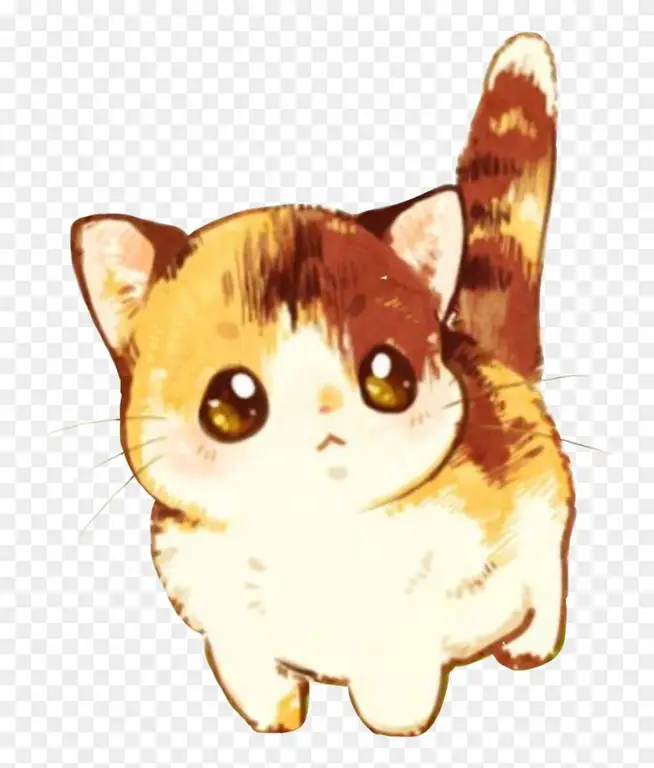 Gambar kucing anime chibi yang lucu dan mungil