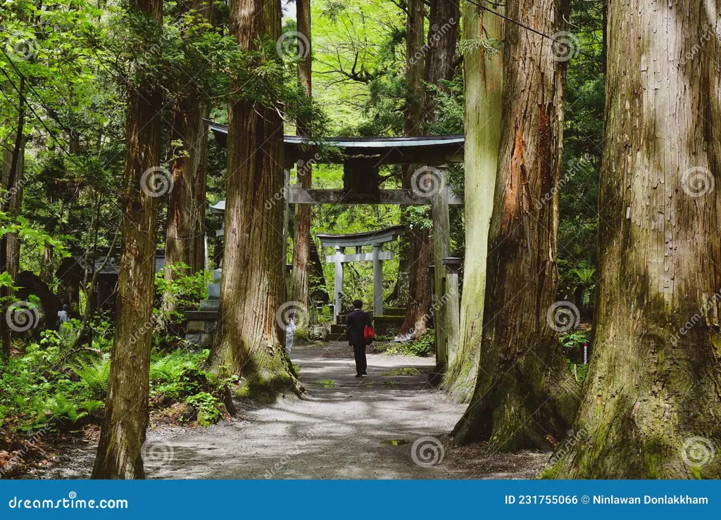 Gambar kuil Shinto di hutan