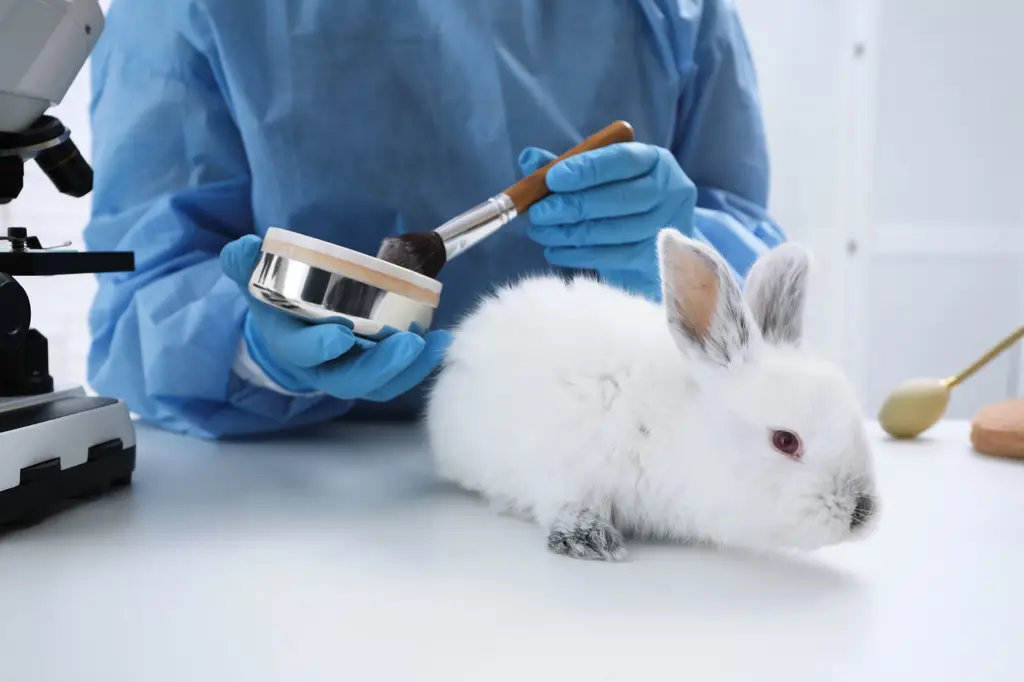 Gambar laboratorium pengujian hewan yang menunjukkan kondisi hewan yang buruk