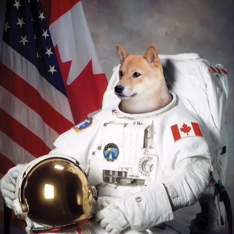 Anjing yang mengenakan pakaian astronot