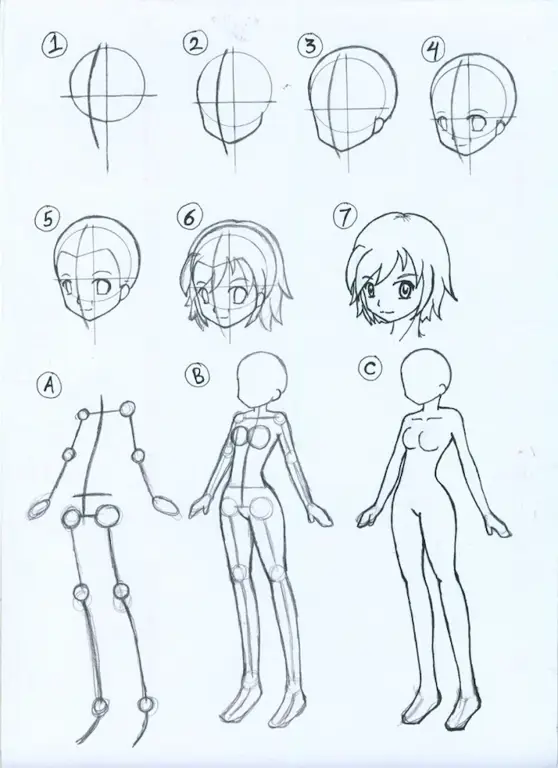 Tutorial sketsa anime dasar