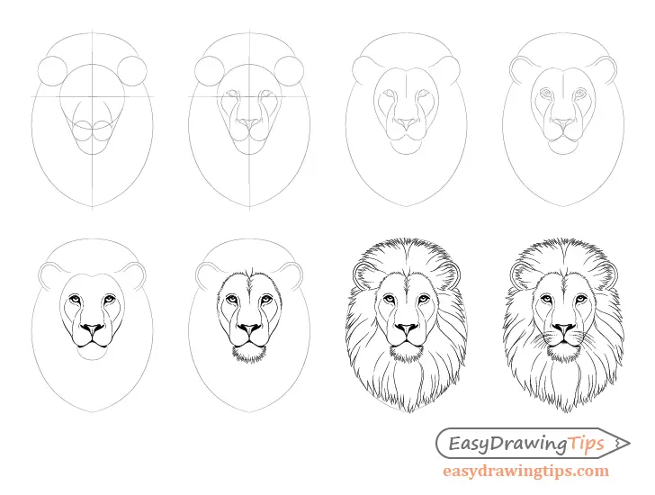 Tutorial menggambar singa