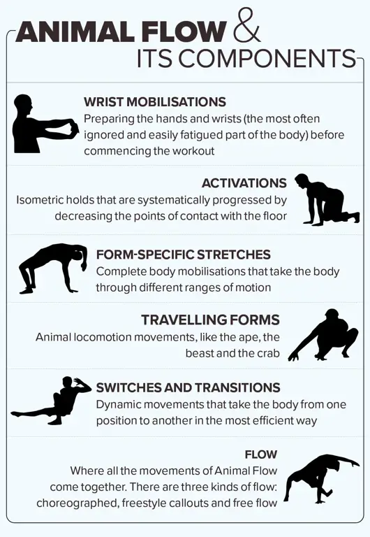 Gambar seseorang sedang melakukan latihan Animal Flow