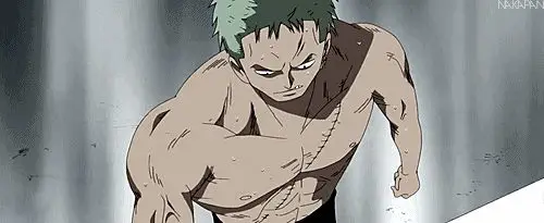 Gambar Zoro berlatih pedang