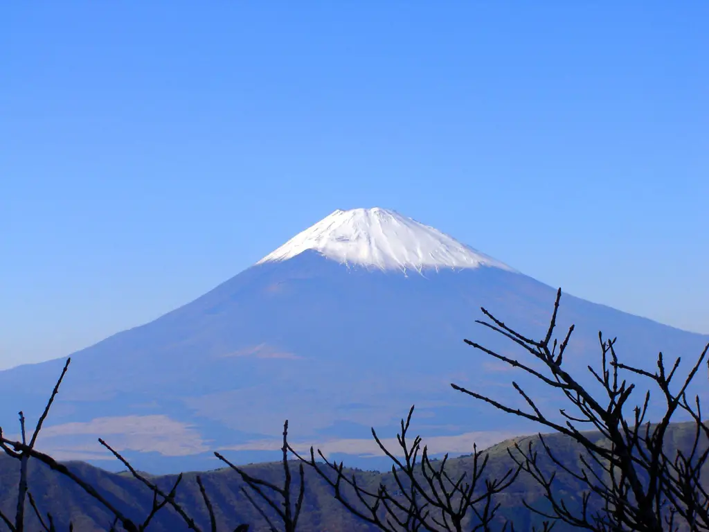 Aktivitas vulkanik Gunung Fuji di masa mudanya