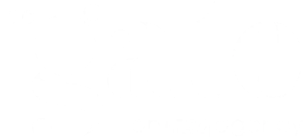 Logo anime The New Gate