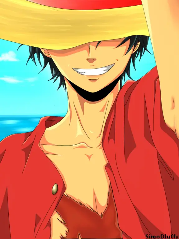 Monkey D. Luffy, kapten dari Topi Jerami