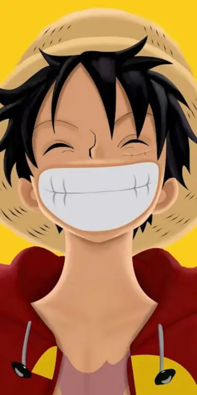 Ekspresi Luffy yang gembira