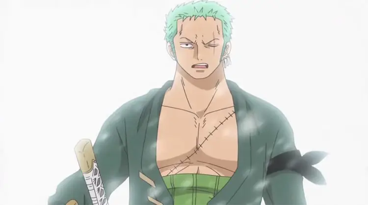 Bekas luka Zoro setelah kehilangan matanya