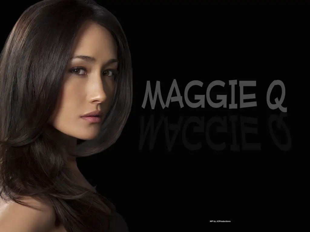 Gambar Maggie Q sebagai Nikita