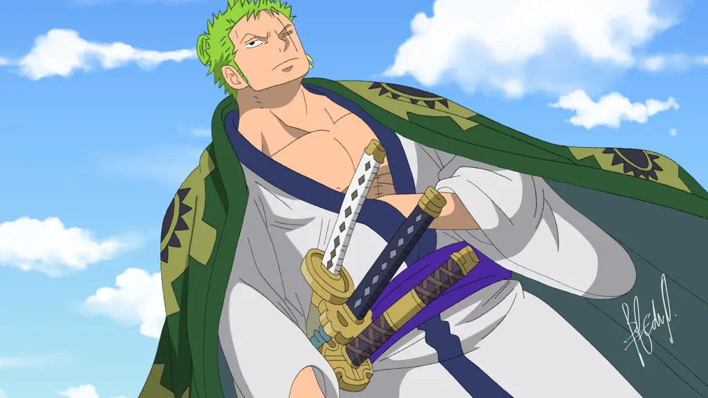 Gambar yang menampilkan masa lalu Zoro