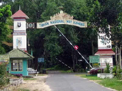 Gajah Sumatera di Taman Nasional Way Kambas