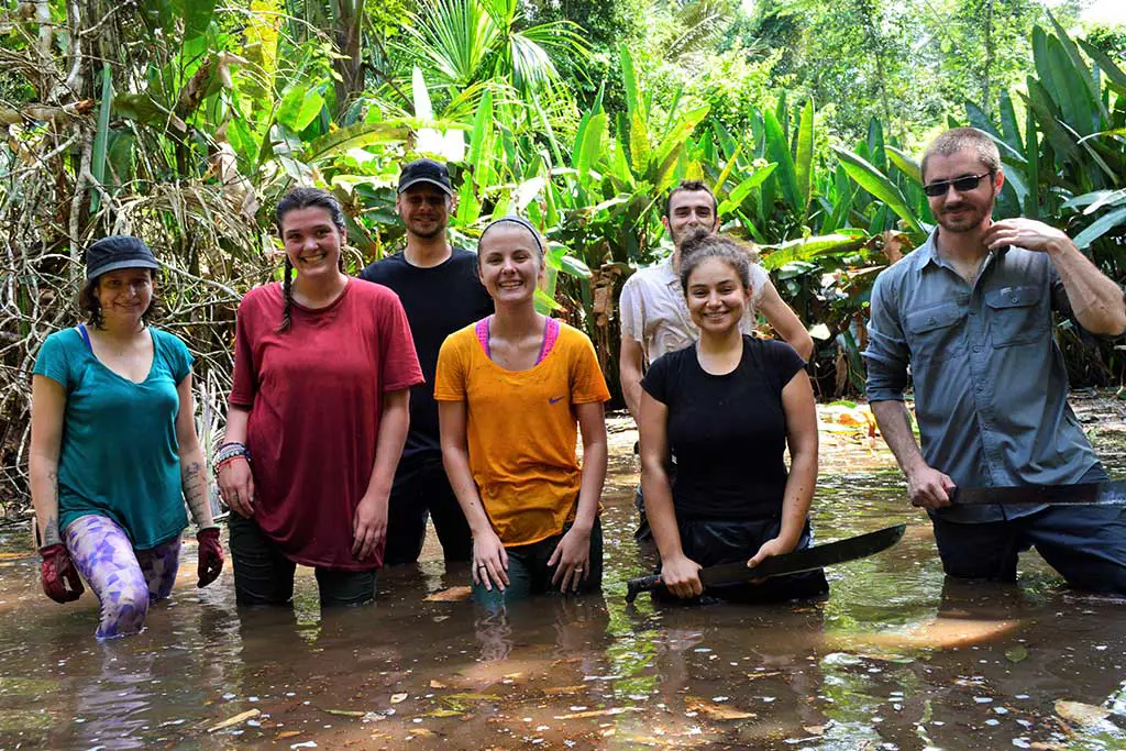 Upaya konservasi hutan hujan Amazon