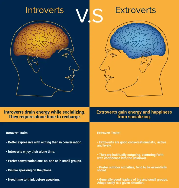 Ilustrasi perbedaan introvert dan ekstrovert