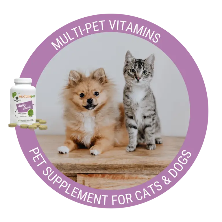 Vitamin untuk kucing sehat dan berbulu halus