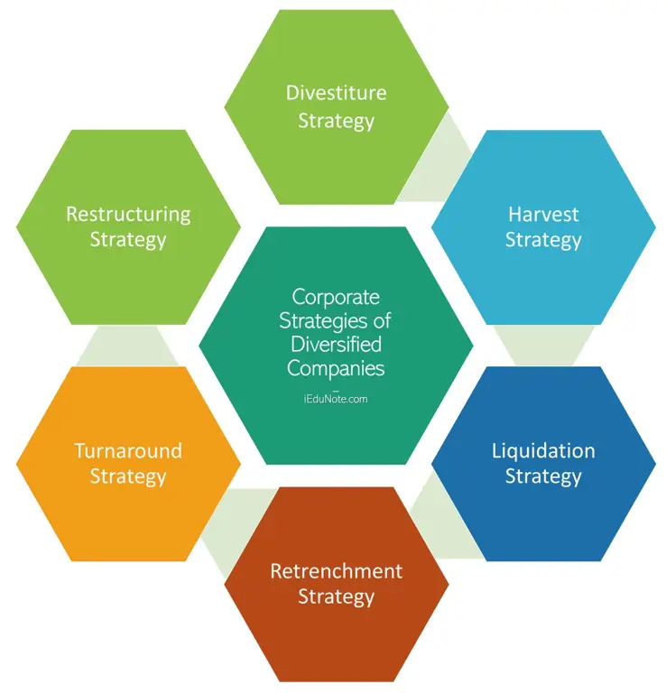 Strategi Bisnis yang Matang