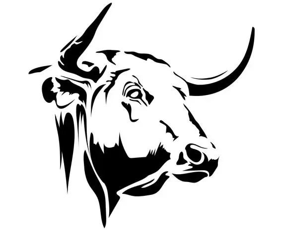 Membuat sketsa kepala banteng Sketsa kepala banteng