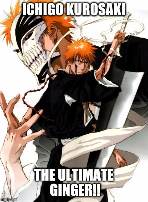 Meme Ichigo Kurosaki