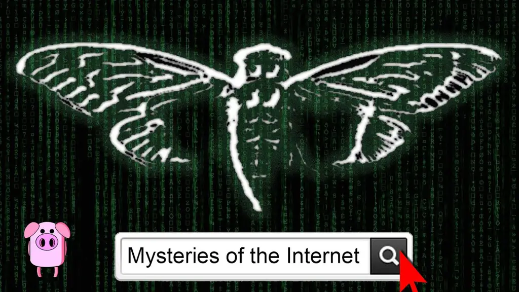 Misteri internet