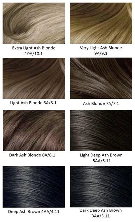 Bagan warna rambut ash blonde