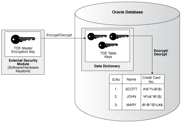 Enkripsi Data