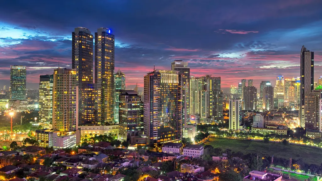 Seseorang memandang pemandangan kota