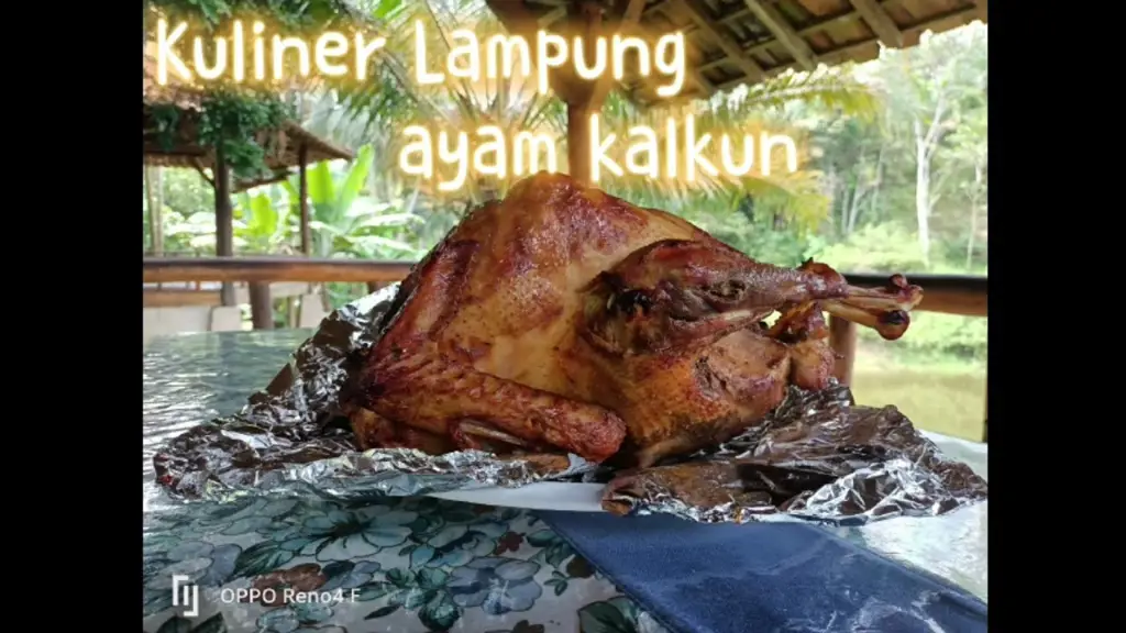 Aneka kuliner khas Lampung yang lezat