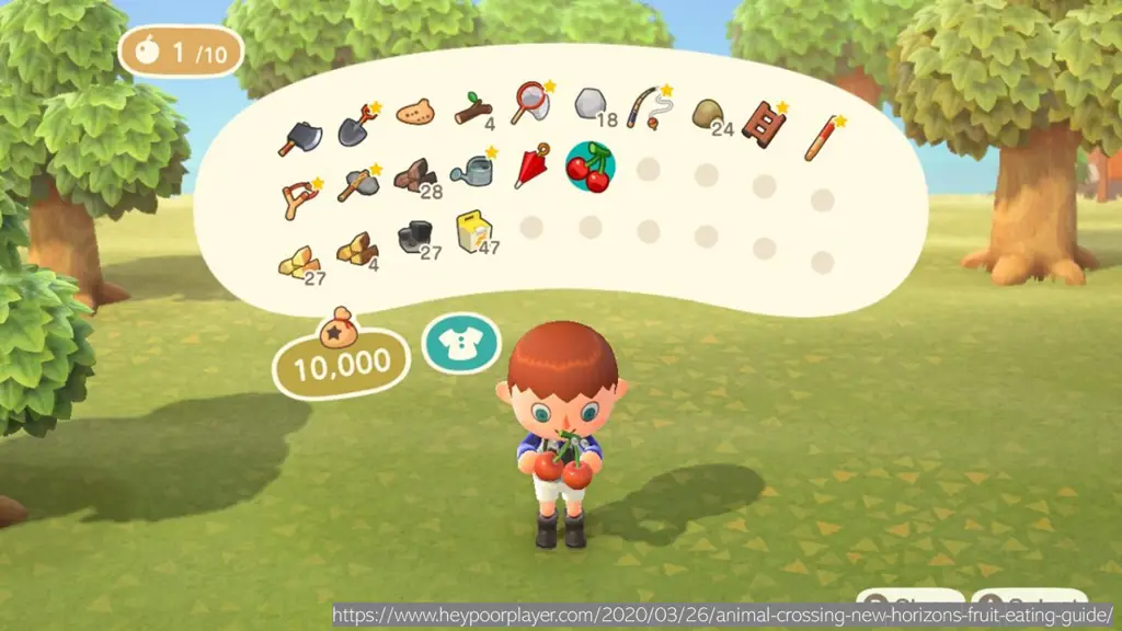 Gameplay Animal Crossing di Indonesia