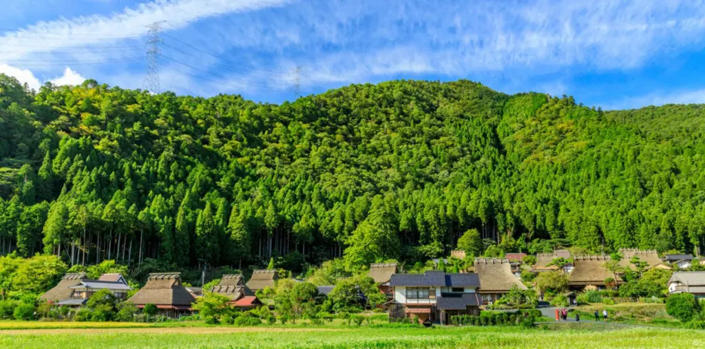 Gambar pemandangan pedesaan Jepang dengan seseorang yang sedang pergi meninggalkan tempat tersebut.