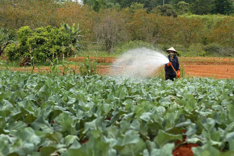 Petani sedang bekerja di ladang