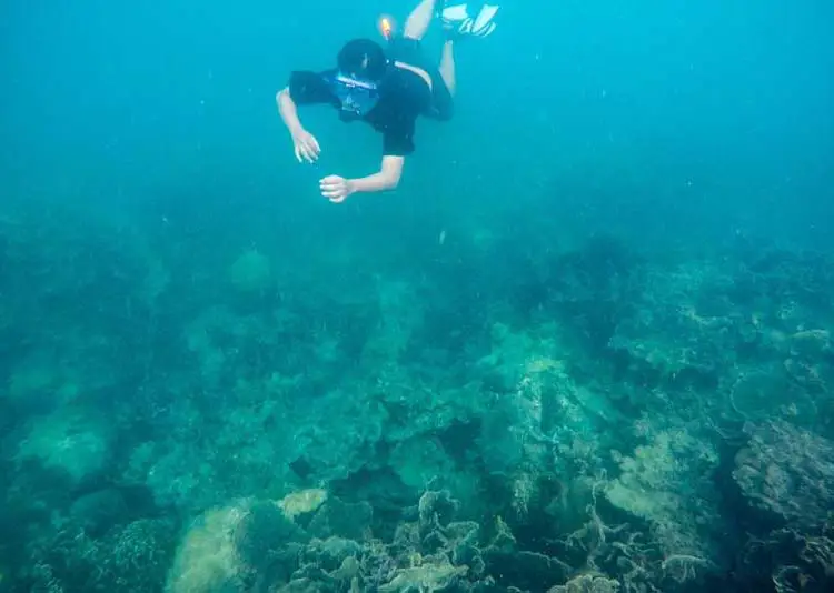 Snorkeling di perairan Batam