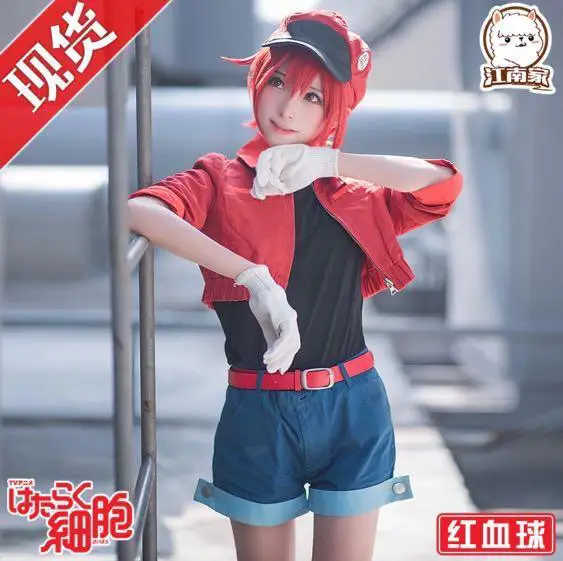 Aneka merchandise Hataraku Saibou